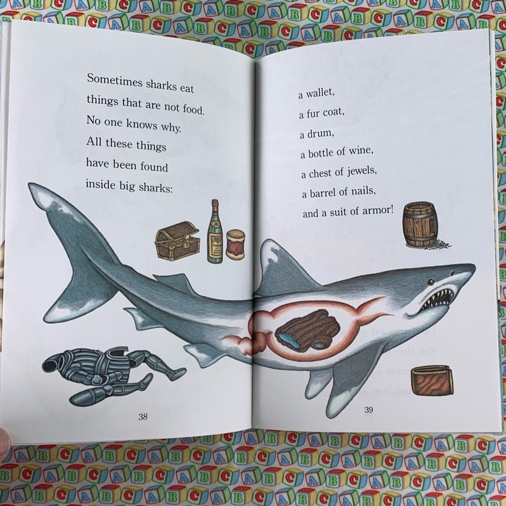 Sharks Learning Book Set for Kids. - Picture 11 of 16